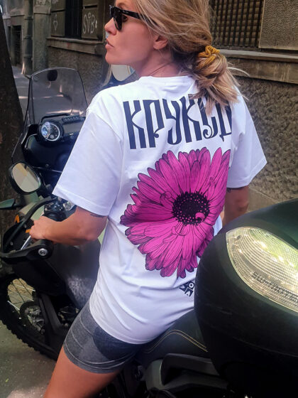 Crooked Transvaal Daisy